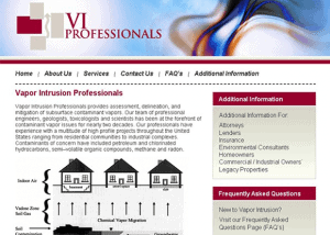 VI Professionals