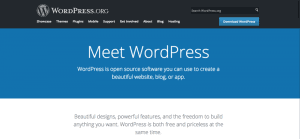 meet wordpress basics