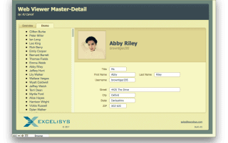 Web Viewer Master-Detail Screen Shot