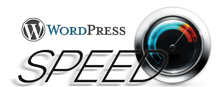wordpress theme speed logo