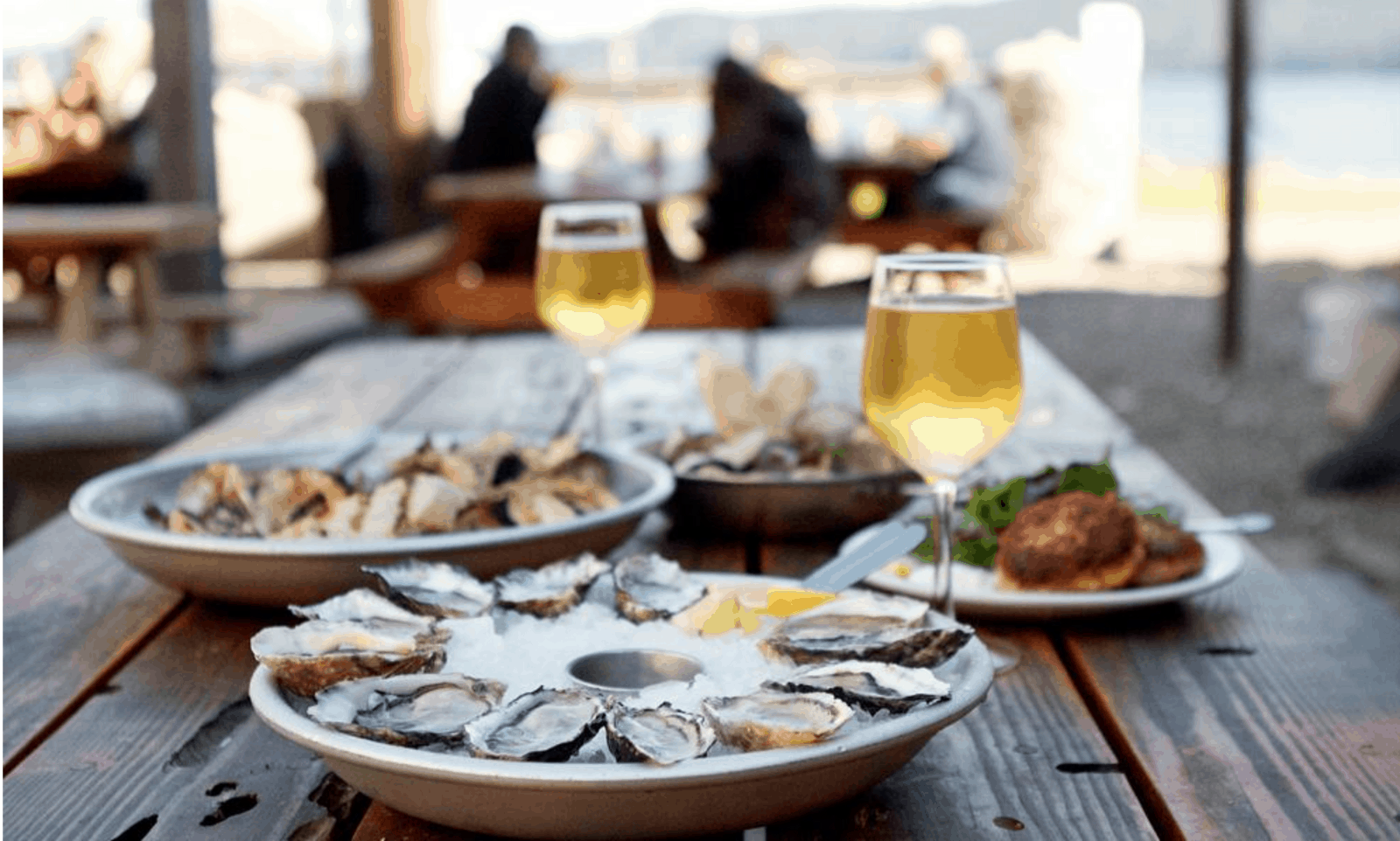Oysters on Table