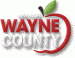 New York Wayne County