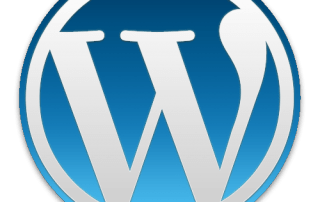 WordPress Consulting
