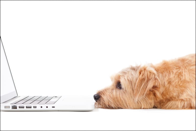 Improve FileMaker performance with this quick data-caching trick