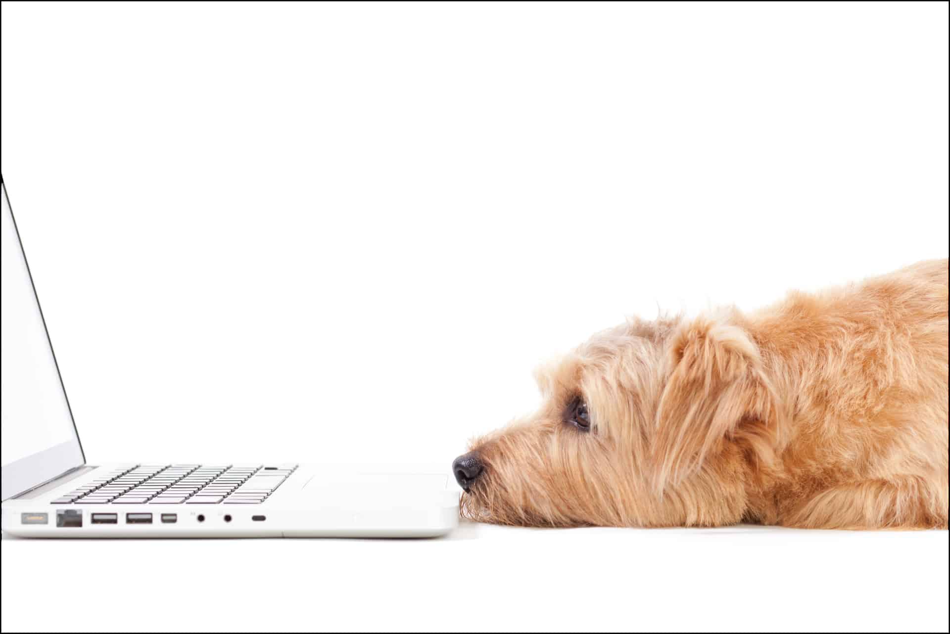 Improve FileMaker performance with this quick data-caching trick
