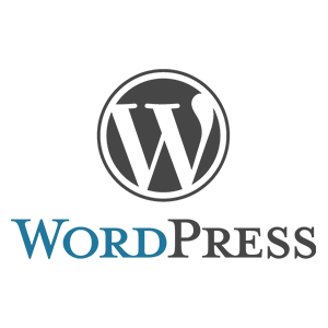 Magento shopping cart development services